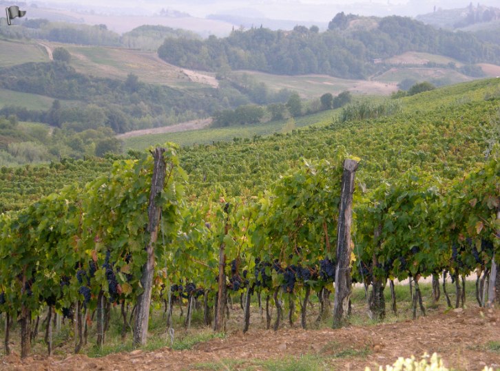 Chianti in Tuscany
