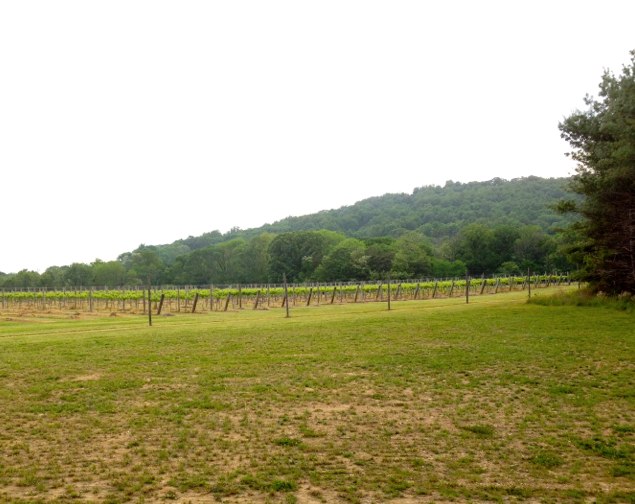 North Gate Vineyards